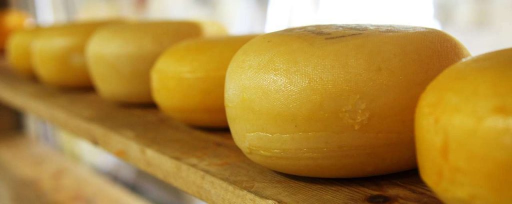 Cheese 2785 1920