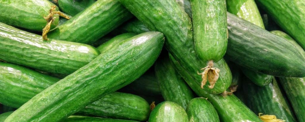 Cucumbers 1081700 1920