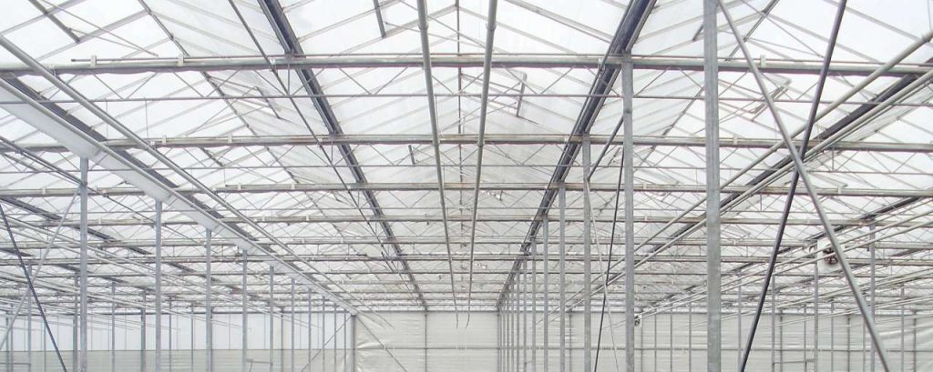 Greenhouse 314212 1920