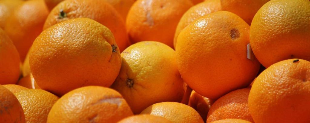 Oranges 407429 1920