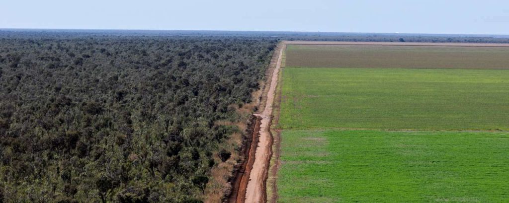 Sojateelt cerrado adriano gambarini wwf brazilie jpg