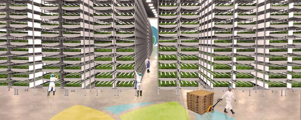 Aerofarmsfarminteriorgrowingroom