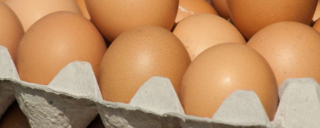 Eggs 1266651 1920