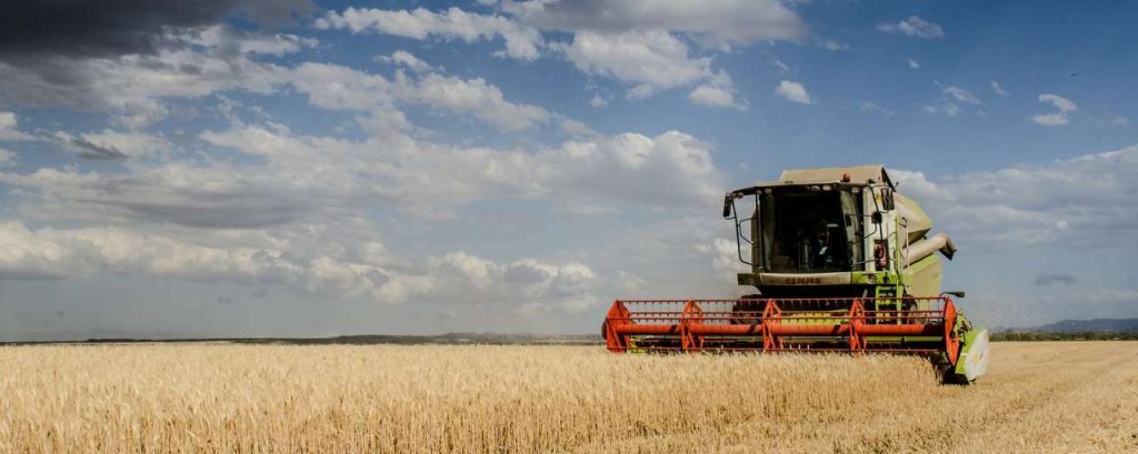 Harvest 1408450 1920