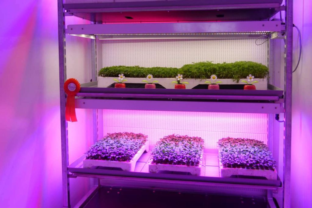 Nijssen greentech 2
