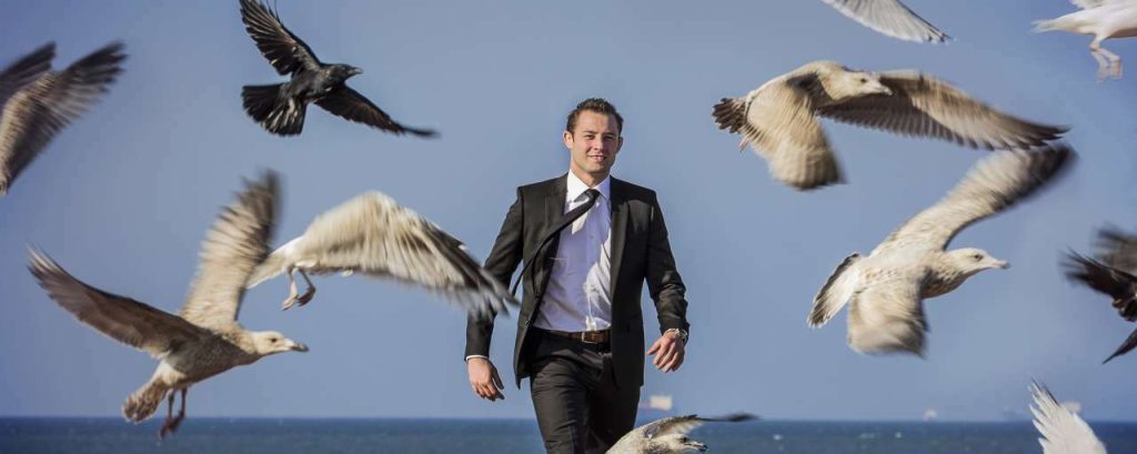 Bird control group steinar portret