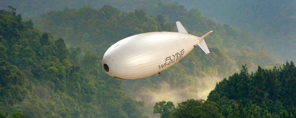 Dcl60t flying whales 001