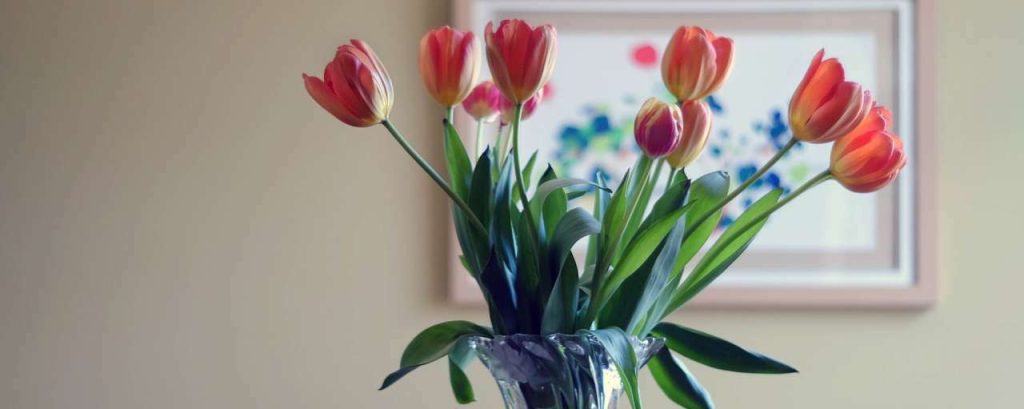 Flower vase 438461 1920