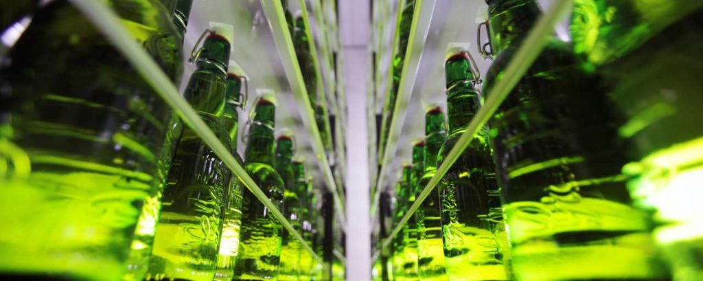 Grolsch circulair