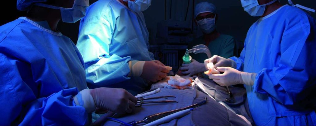 Niertransplantatie