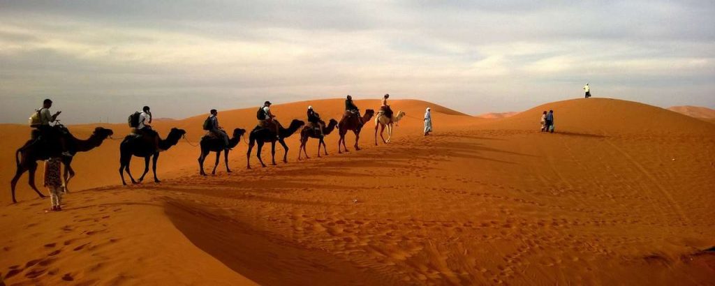 Safari duurzame vakantie