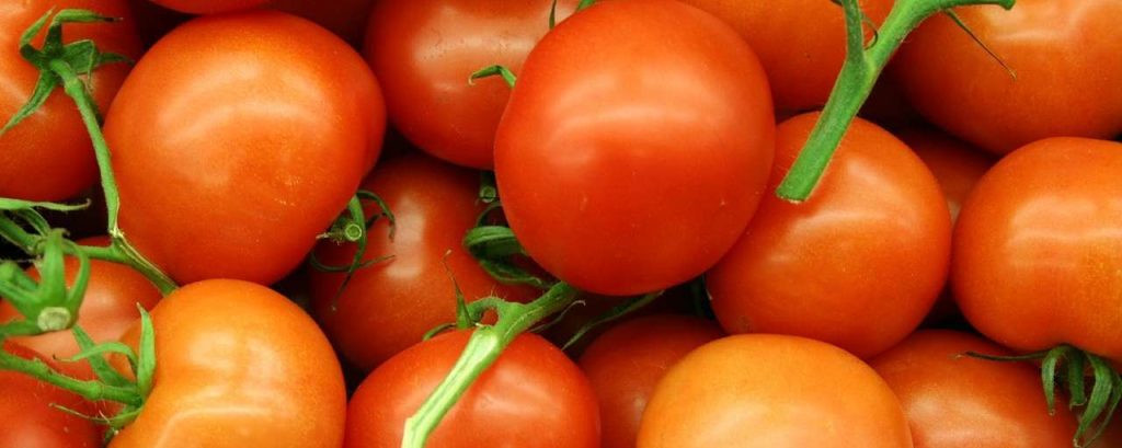 Tomatoes 620664 1280