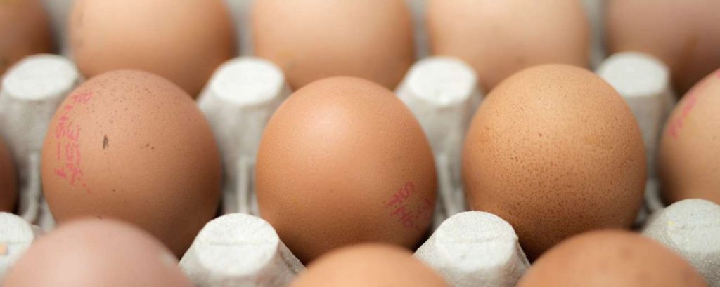 Eggs 551292 1920
