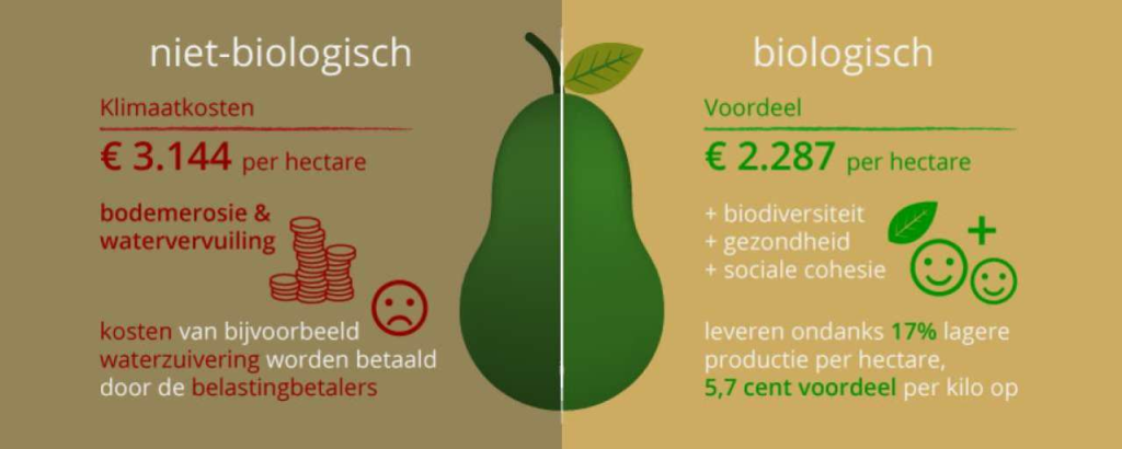 Infographic werkelijke kosten voedsel