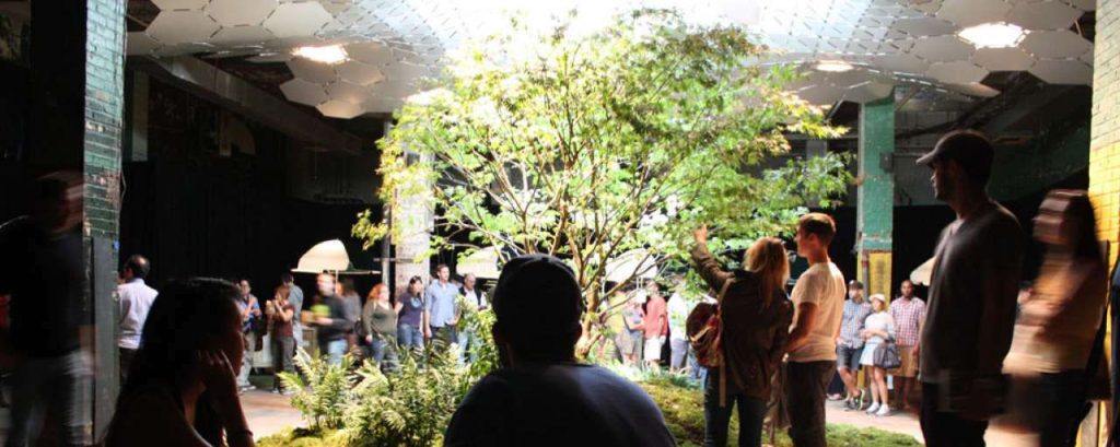 Lowline new york 1