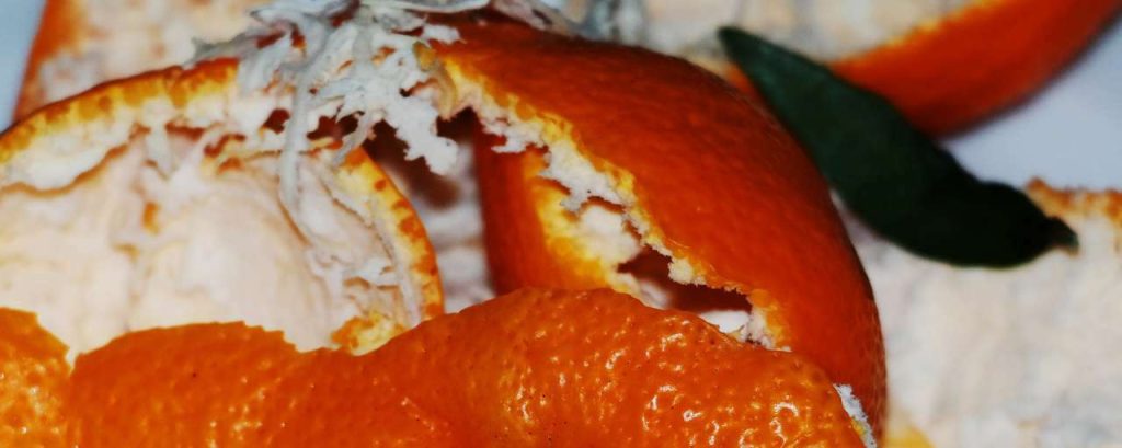 Orange peel 517567 1920
