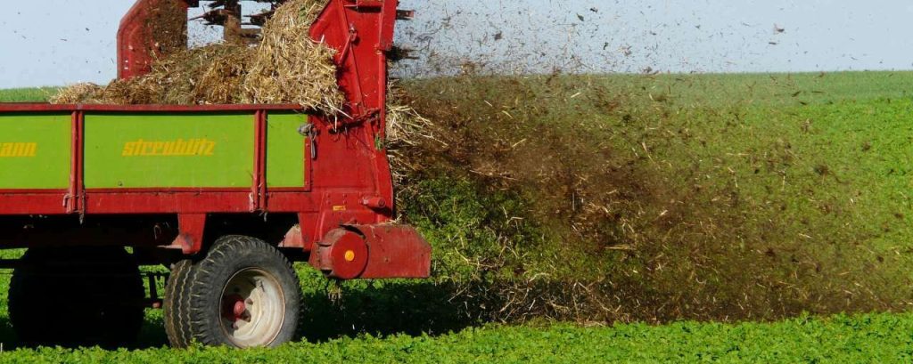 Fertilize 62416 1920