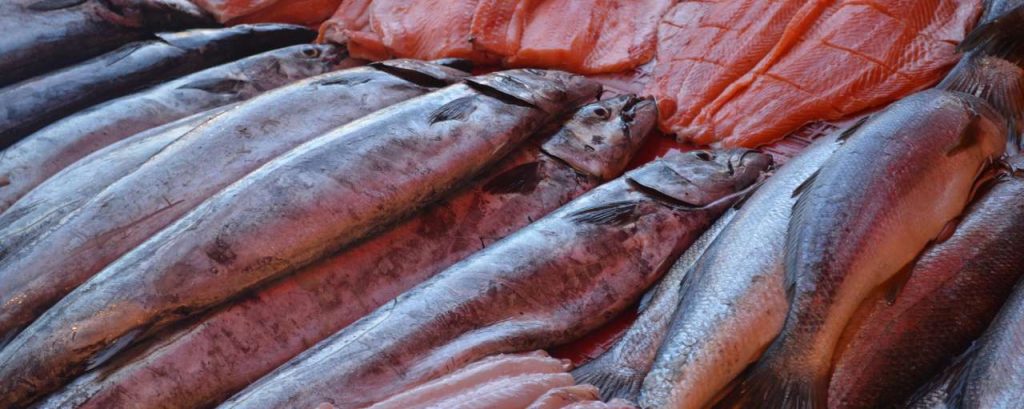 Fish 972175 1920