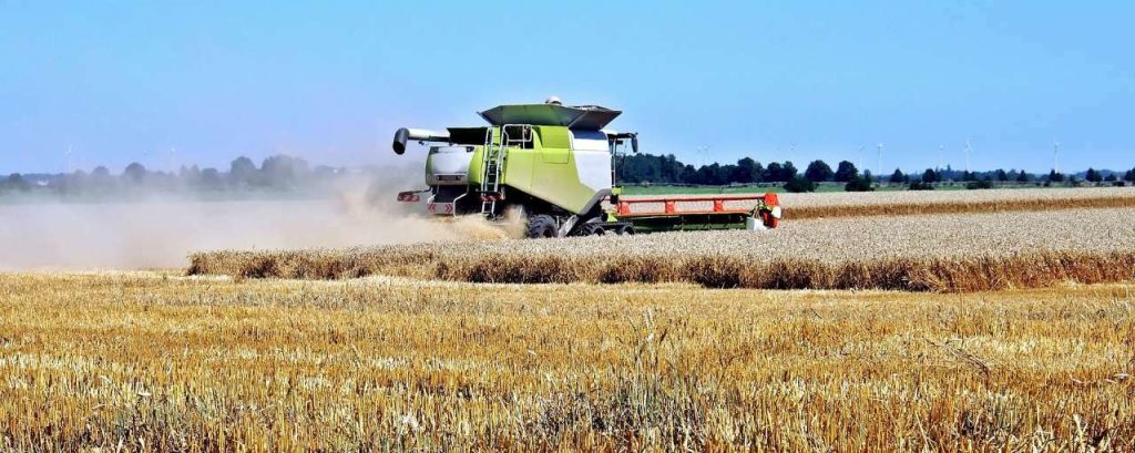 Harvest 1513172 1920