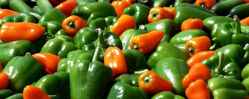 Paprika 537632 1920