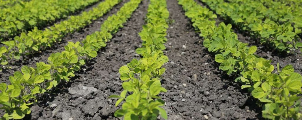Agriculture 1646560 1920