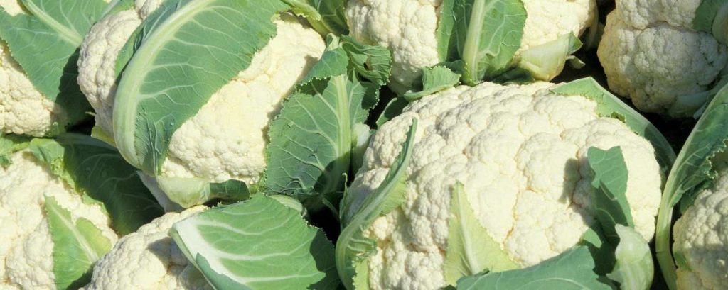 Cauliflower 805414 1920