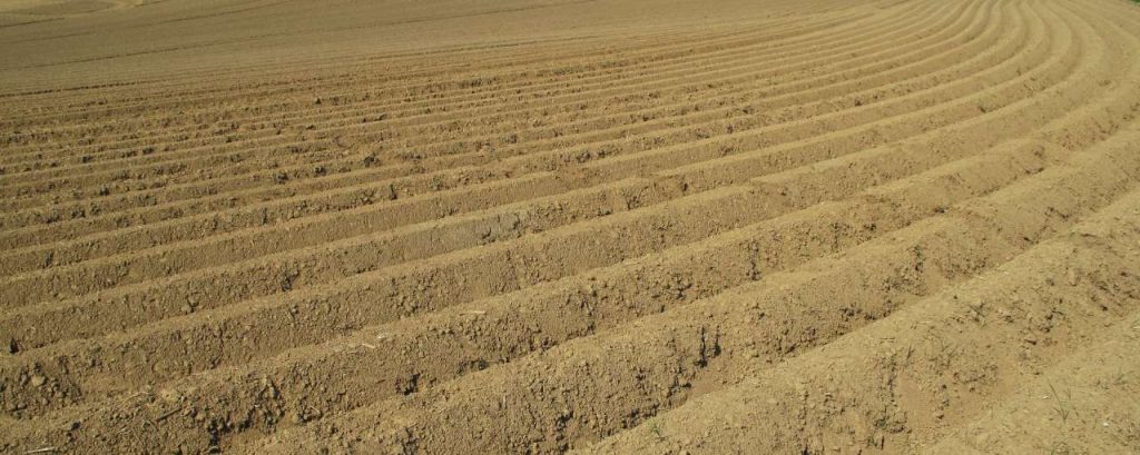 Field 1019643 1920