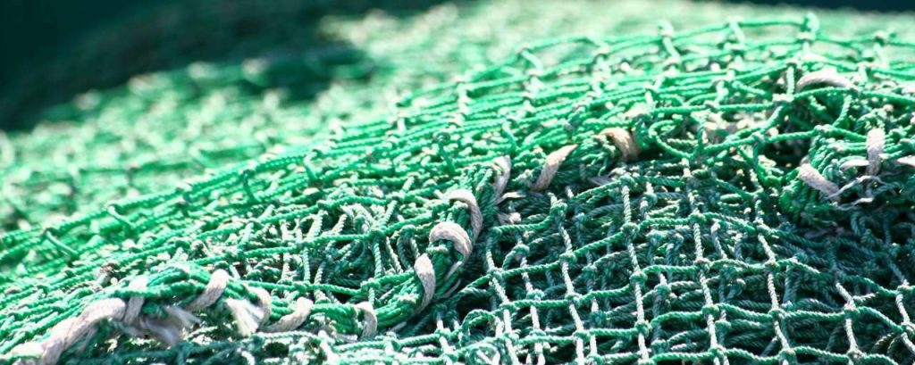Fishing industry 1396750 1920