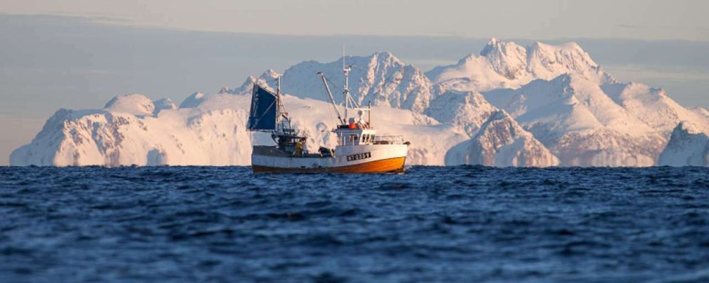 Lofoten visboot 9880