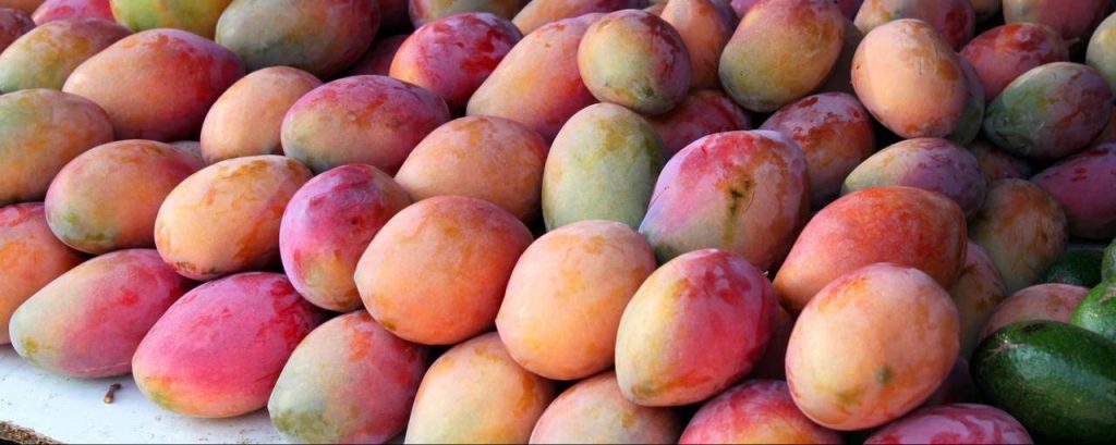 Mangoes 354062 1920
