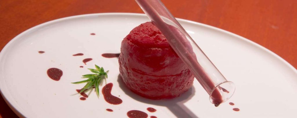 Meat the future kweekvlees ijsje