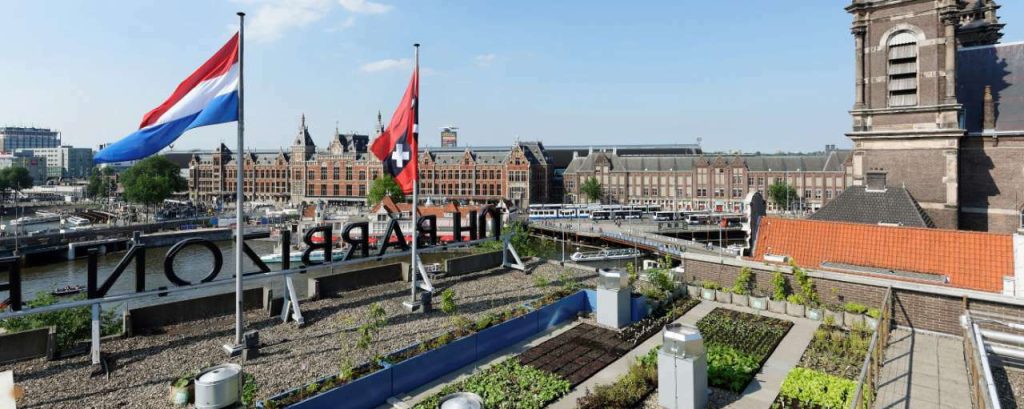 Daktuin vermeer rooffood growndowntown
