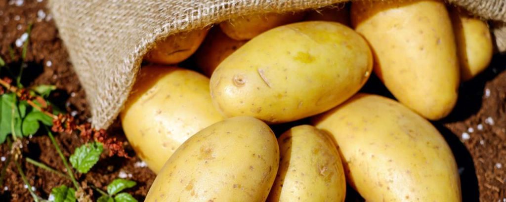 Potatoes 1585075 1920