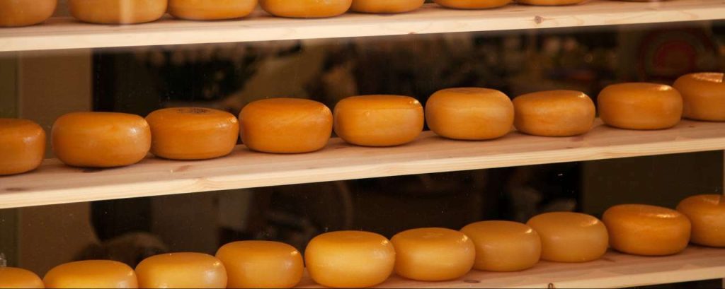 Cheese 21500 1920