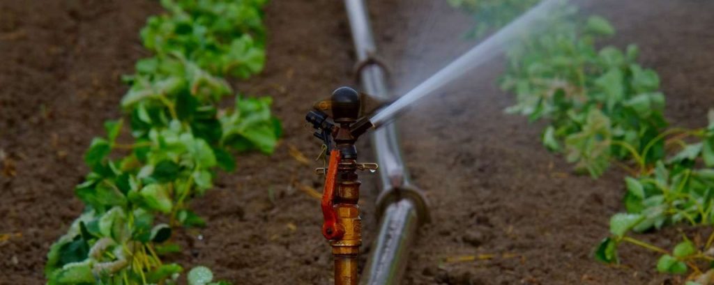 Water sprinklers 880970 1920