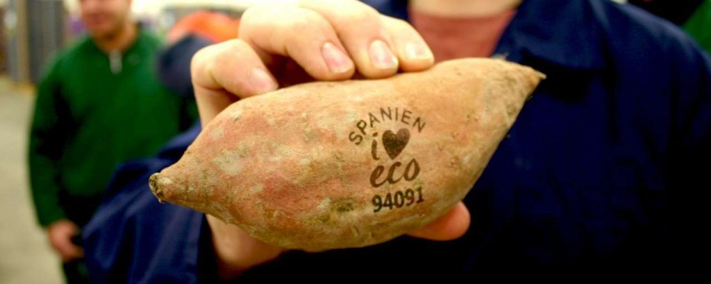 Zoete aardappel mr