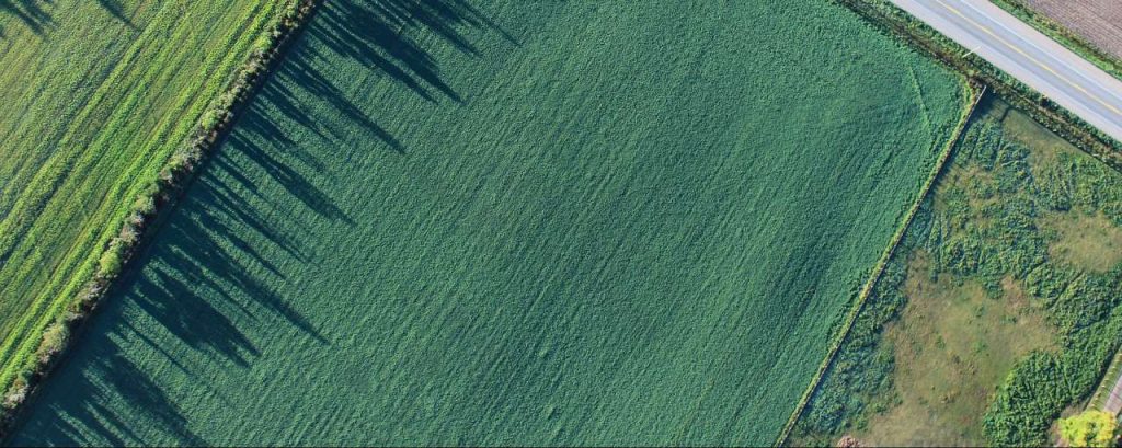 Agriculture 1867212 1920