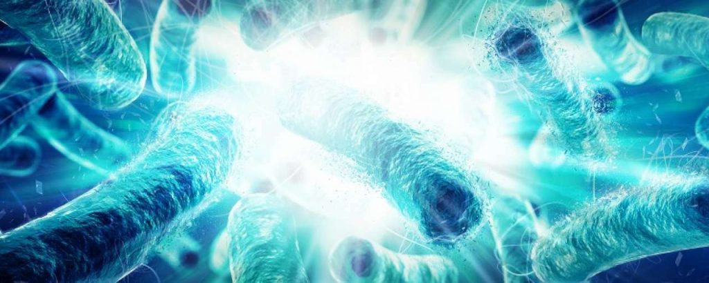 Bacterial growth