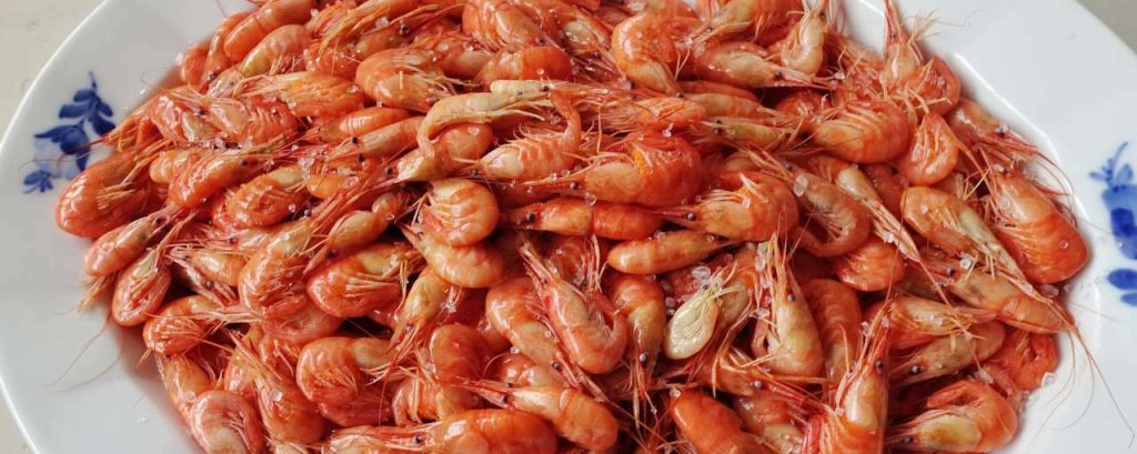 Fjord shrimp 1585641 1920