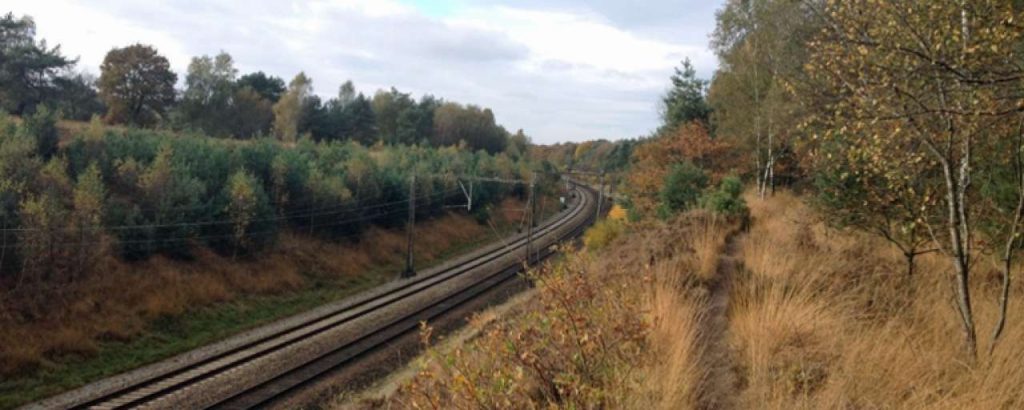 Spoorbermen duurzaam prorail