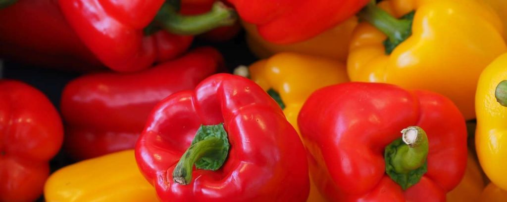 Sweet peppers 499068 1920