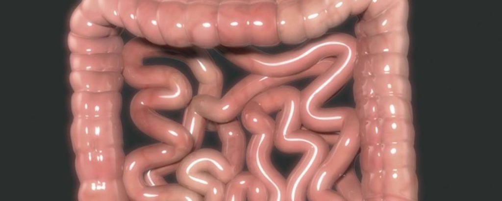 Antibioticaresistentie darm