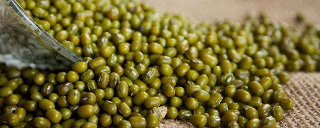 Mung beans 166996 1920
