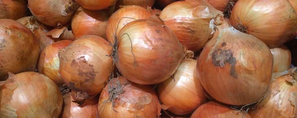 Onions 1663178 1920