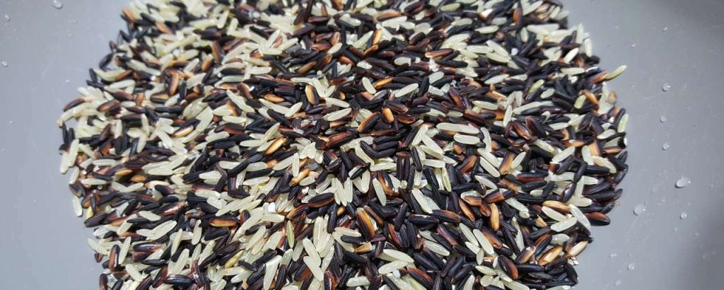 Rice 1600219 1920