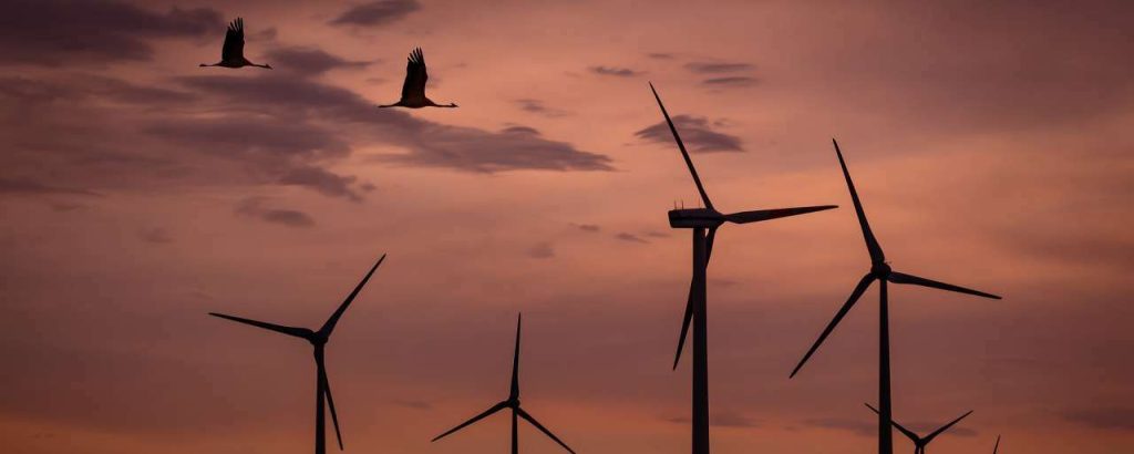 Wind park 1600377 1920
