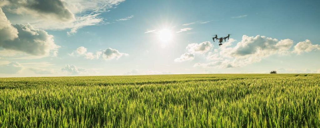 Shutterstock 436505053