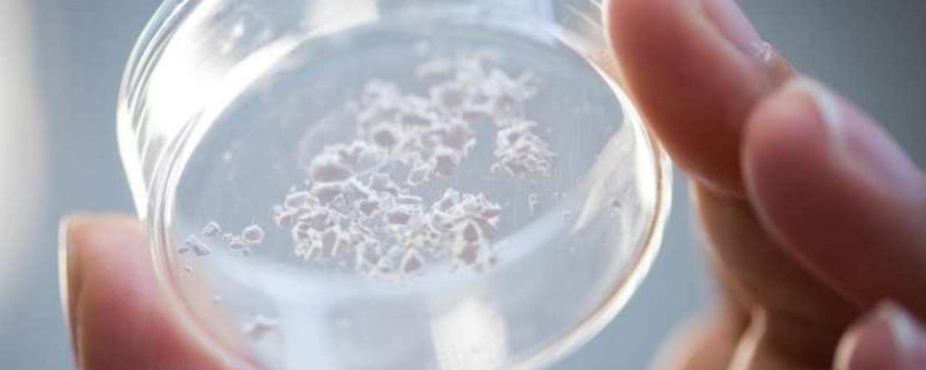Vaccins duurzaam bewaren