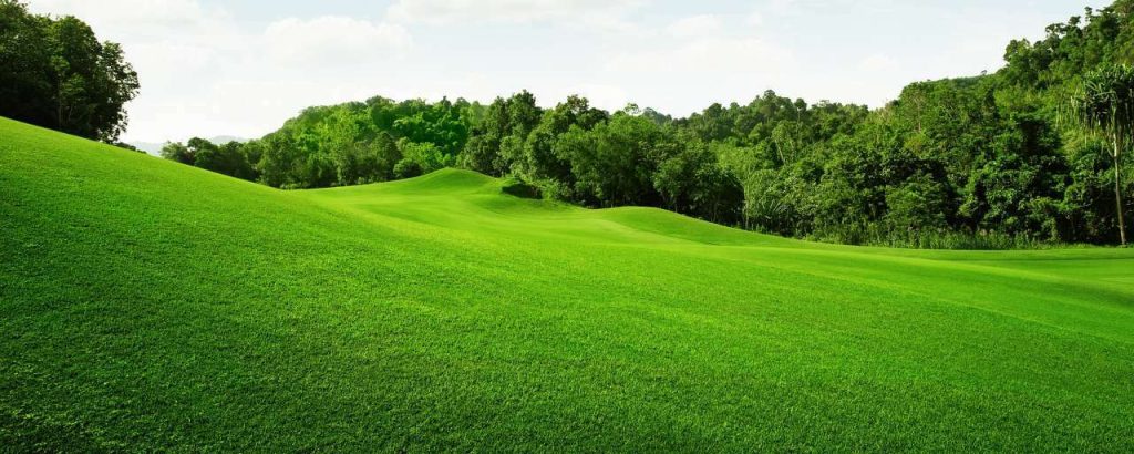 Shutterstock 170489111