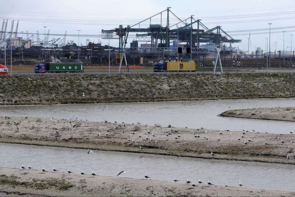 Vogelvallei maasvlakteplaza 2